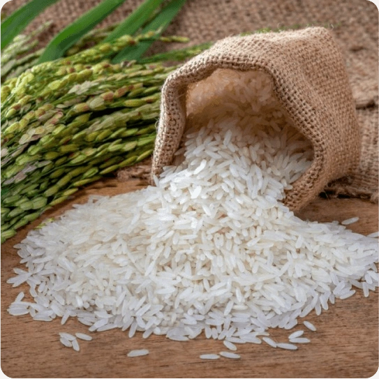 Rice and Grains